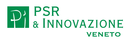 PSR Innovazione Veneto