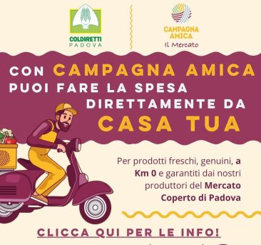 Consegna a domicilio, istruzioni per l’uso
