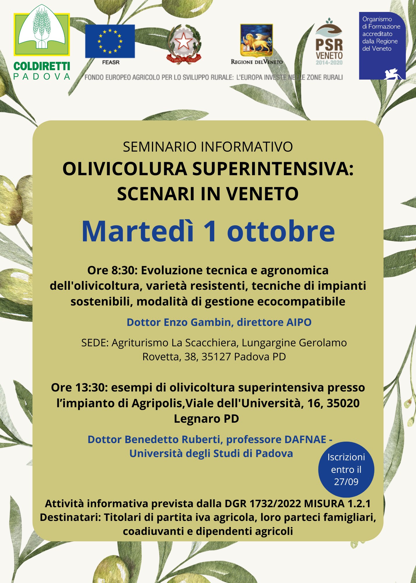 Olivicolura superintensiva, seminario martedì 1 ottobre Padovanews