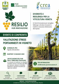 Evento di confronto – Valutazione stress portainnesti in vigneto